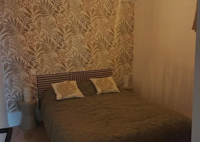 Le 15 Du Bessarel Appartamento *